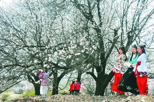 178直播live 多屏互动体育直播